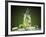 Mojito Cocktail With Splash And Ice-Jag_cz-Framed Photographic Print