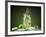 Mojito Cocktail With Splash And Ice-Jag_cz-Framed Photographic Print