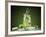 Mojito Cocktail With Splash And Ice-Jag_cz-Framed Photographic Print