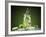 Mojito Cocktail With Splash And Ice-Jag_cz-Framed Photographic Print