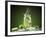 Mojito Cocktail With Splash And Ice-Jag_cz-Framed Photographic Print