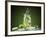 Mojito Cocktail With Splash And Ice-Jag_cz-Framed Photographic Print