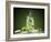 Mojito Cocktail With Splash And Ice-Jag_cz-Framed Photographic Print