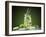 Mojito Cocktail With Splash And Ice-Jag_cz-Framed Photographic Print