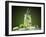 Mojito Cocktail With Splash And Ice-Jag_cz-Framed Photographic Print