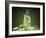 Mojito Cocktail With Splash And Ice-Jag_cz-Framed Photographic Print