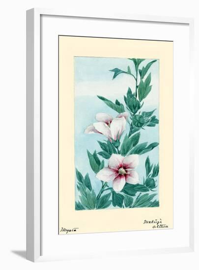 Mok?gì Althea (Hibiscus)-Megata Morikaga-Framed Art Print