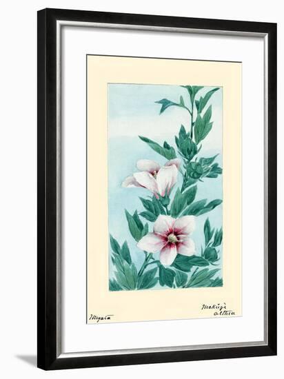 Mok?gì Althea (Hibiscus)-Megata Morikaga-Framed Art Print