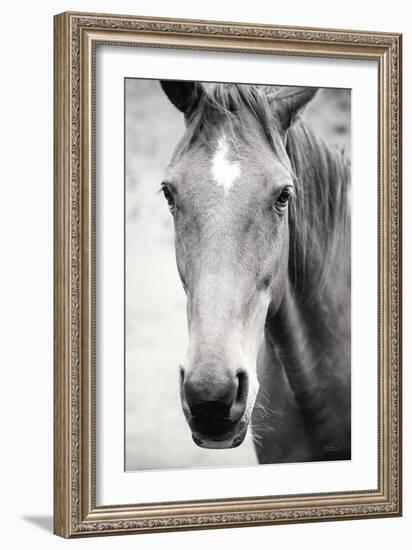 Moke Lake Horses I-Laura Marshall-Framed Art Print