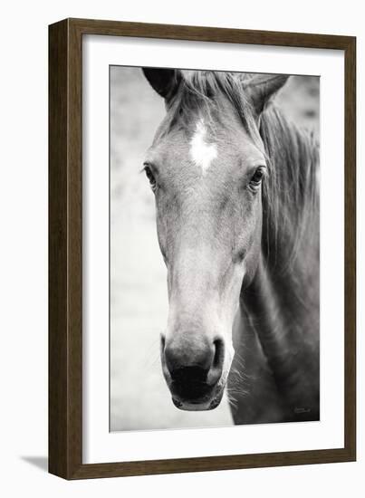 Moke Lake Horses I-Laura Marshall-Framed Art Print