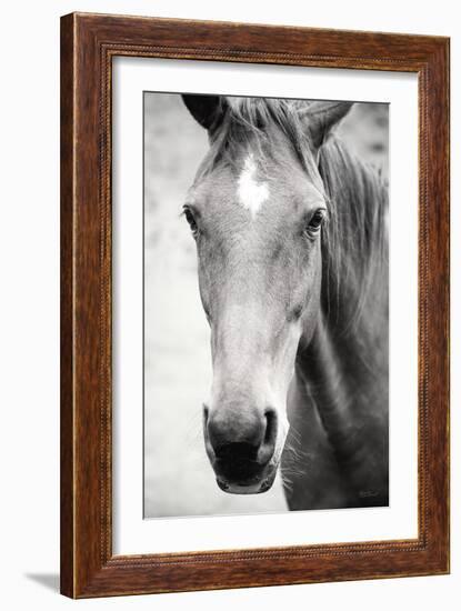 Moke Lake Horses I-Laura Marshall-Framed Art Print