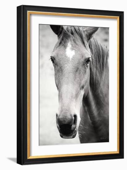 Moke Lake Horses I-Laura Marshall-Framed Art Print