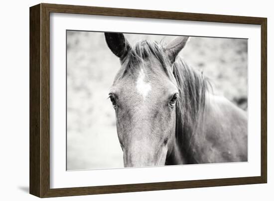 Moke Lake Horses II-Laura Marshall-Framed Art Print