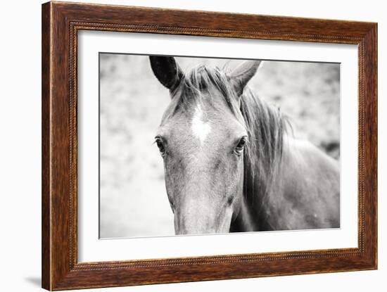 Moke Lake Horses II-Laura Marshall-Framed Art Print