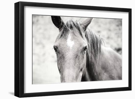 Moke Lake Horses II-Laura Marshall-Framed Art Print