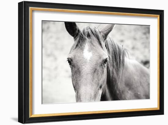 Moke Lake Horses II-Laura Marshall-Framed Art Print