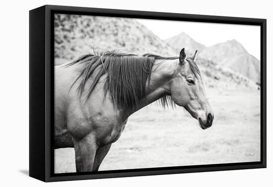 Moke Lake Horses III-Laura Marshall-Framed Stretched Canvas