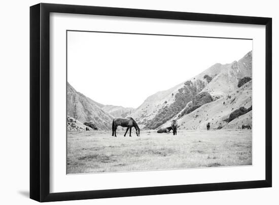 Moke Lake Horses IV-Laura Marshall-Framed Art Print