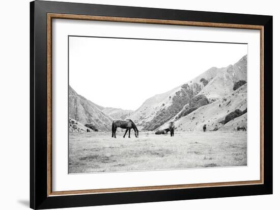 Moke Lake Horses IV-Laura Marshall-Framed Art Print
