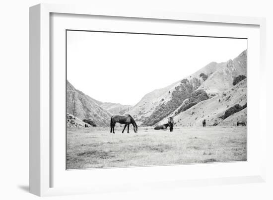 Moke Lake Horses IV-Laura Marshall-Framed Art Print