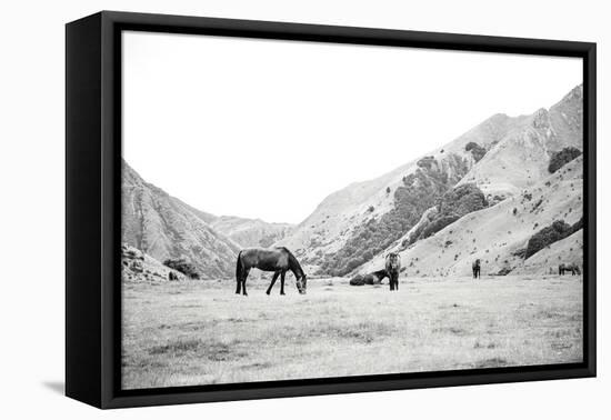Moke Lake Horses IV-Laura Marshall-Framed Stretched Canvas