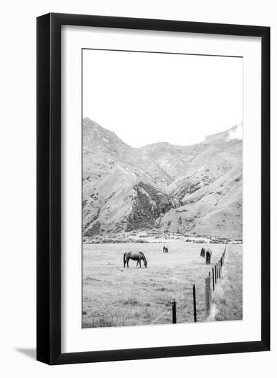 Moke Lake Horses V-Laura Marshall-Framed Art Print