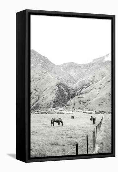 Moke Lake Horses V-Laura Marshall-Framed Stretched Canvas