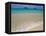 Mokulua Islands from Lanikai Beach-Darrell Gulin-Framed Premier Image Canvas