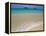 Mokulua Islands from Lanikai Beach-Darrell Gulin-Framed Premier Image Canvas