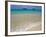 Mokulua Islands from Lanikai Beach-Darrell Gulin-Framed Photographic Print