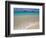 Mokulua Islands from Lanikai Beach-Darrell Gulin-Framed Photographic Print