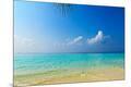 Premium Photographic Print