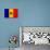 Moldova Flag Design with Wood Patterning - Flags of the World Series-Philippe Hugonnard-Art Print displayed on a wall