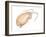 Mole Crab (Emerita Talpoida), Crustaceans-Encyclopaedia Britannica-Framed Art Print