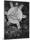 Photographic Print