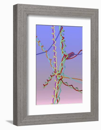 Molecular Collisions-Eric Heller-Framed Photographic Print