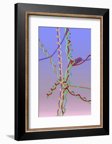 Molecular Collisions-Eric Heller-Framed Photographic Print