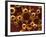 Molecular Model-David Mack-Framed Photographic Print