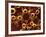 Molecular Model-David Mack-Framed Photographic Print