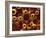 Molecular Model-David Mack-Framed Photographic Print