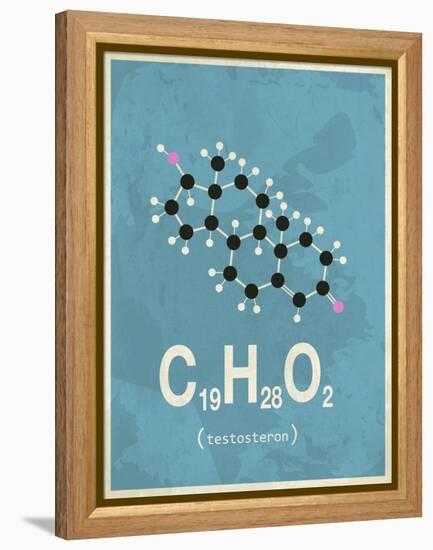 Molecule Testosterone-null-Framed Stretched Canvas