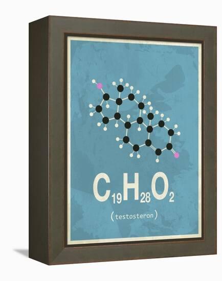 Molecule Testosterone-null-Framed Stretched Canvas