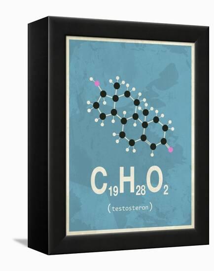 Molecule Testosterone-null-Framed Stretched Canvas