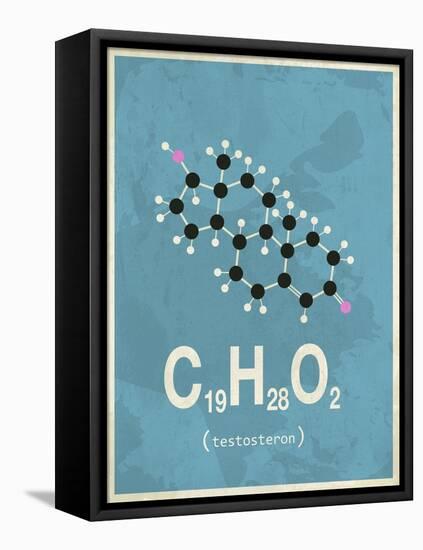 Molecule Testosterone-null-Framed Stretched Canvas