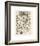 Mollosques I-Adolphe Millot-Framed Giclee Print