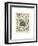Mollosques II-Adolphe Millot-Framed Art Print