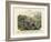 Molluscs, C.1860-null-Framed Giclee Print