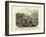 Molluscs, C.1860-null-Framed Giclee Print