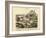 Molluscs, C.1860-null-Framed Giclee Print