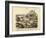 Molluscs, C.1860-null-Framed Giclee Print